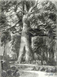pic7