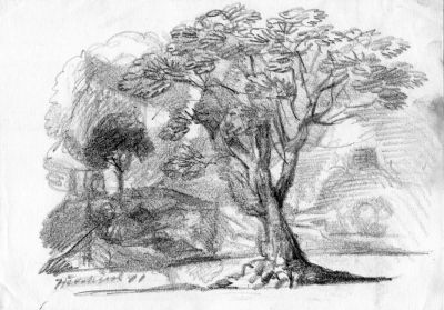 Drawing 71 [Tree]   1991   7x10   Direct
