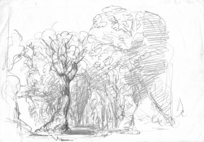 Drawing 30 [Avenue]   Undated   7x10   Direct
