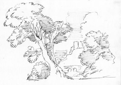 Drawing 45 [Tree and Castle]   Undated   7x10   Direct
