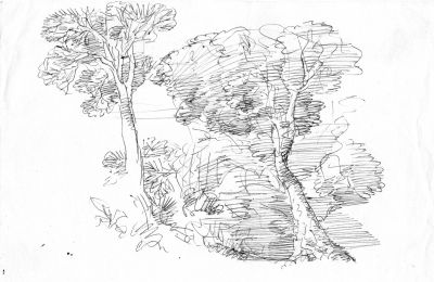 Drawing 46 Ink [Trees]   Undated   6.5x9   Direct
