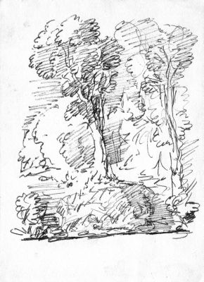 Drawing 77 [Trees] Ink   Undated   7x5   Direct
