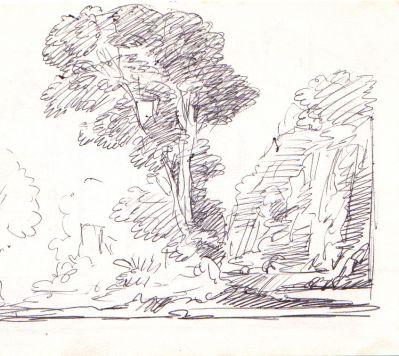 Drawing 98 Ink [Tree]   Undated   5x5.5   Direct
