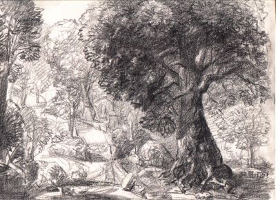 Drawing 114 [Trees]   2001   9x12   Direct
