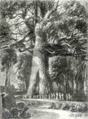 Drawing 143 - Grizzly Giant Yosemite   1999  Digital
