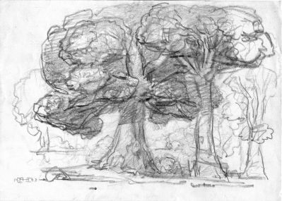 Drawing 57 Tree Study  1993   8x11   Direct
